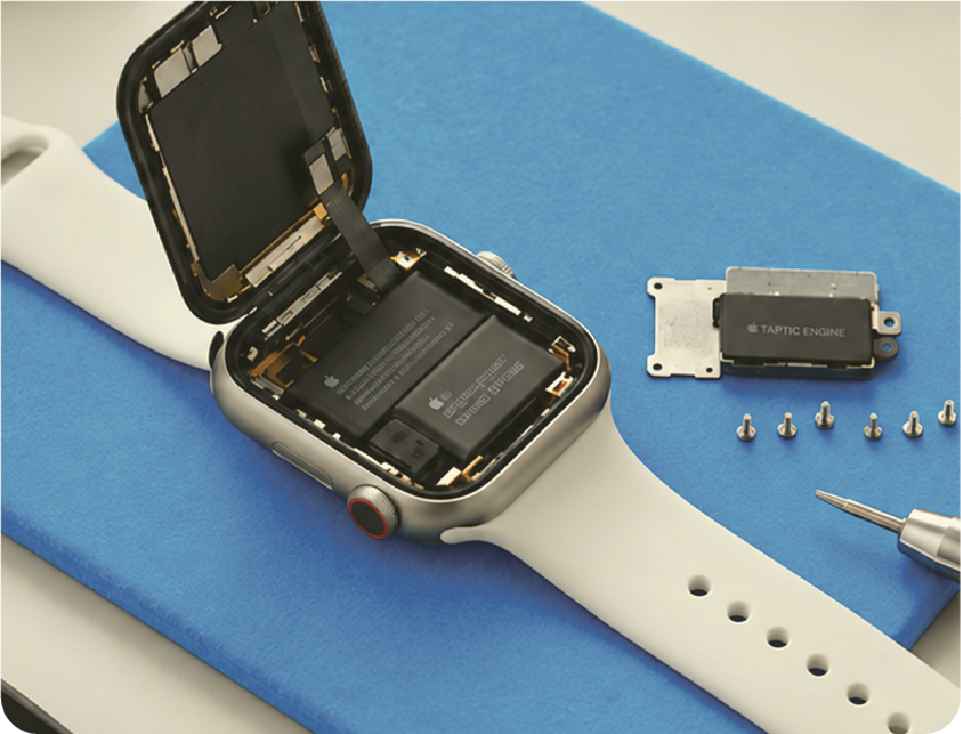 Servis Apple Watch